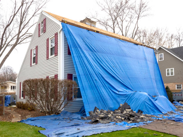 Best Brick Veneer Siding  in Washington Park, IL