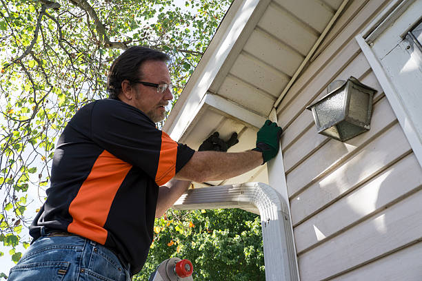 Best Siding Removal and Disposal  in Washington Park, IL